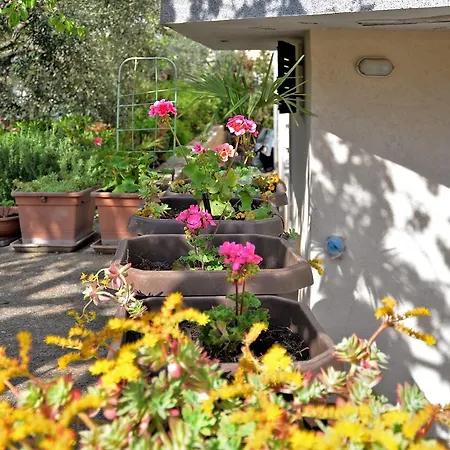 Apartment Oliva 1485